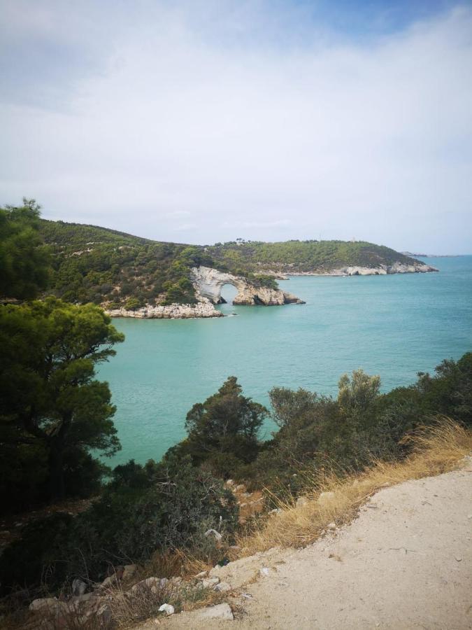 Vieste Holiday Esterno foto